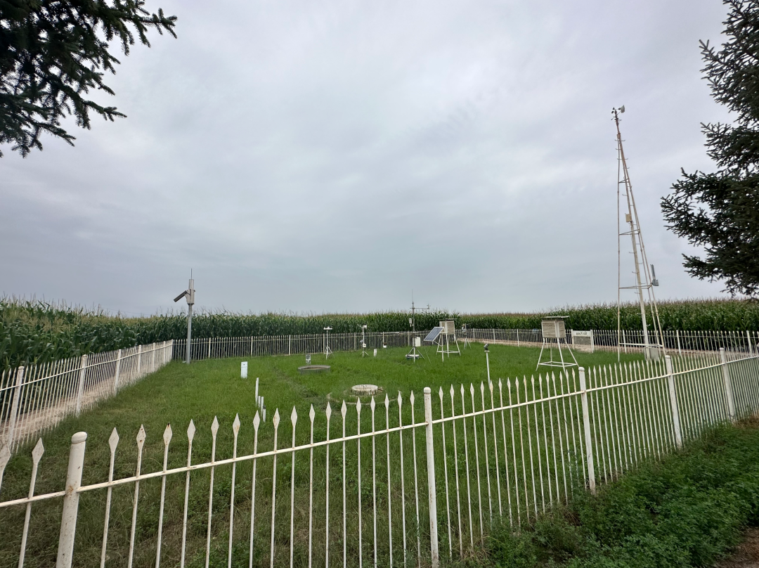 日出水了特别黄的视频