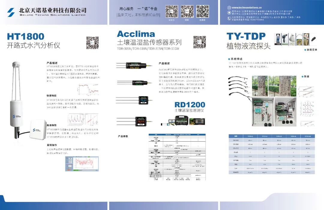 日出水了特别黄的视频