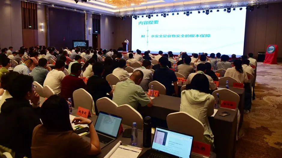 日出水了特别黄的视频