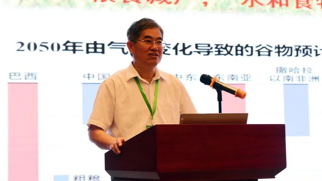 日出水了特别黄的视频