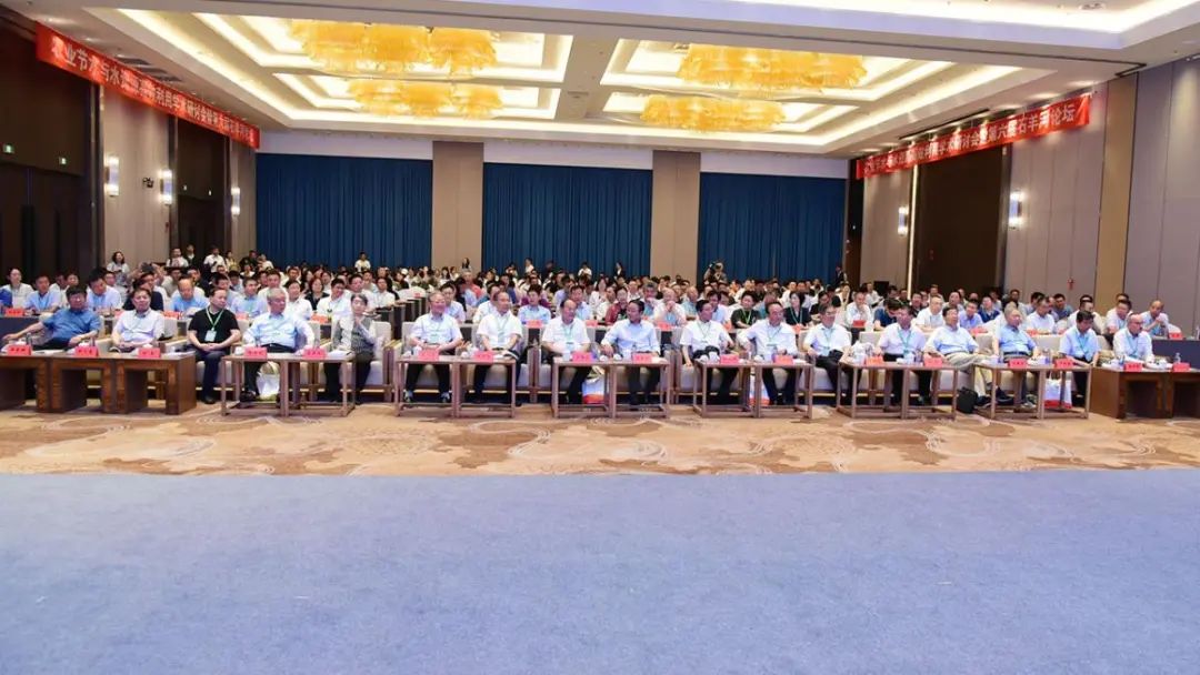 日出水了特别黄的视频