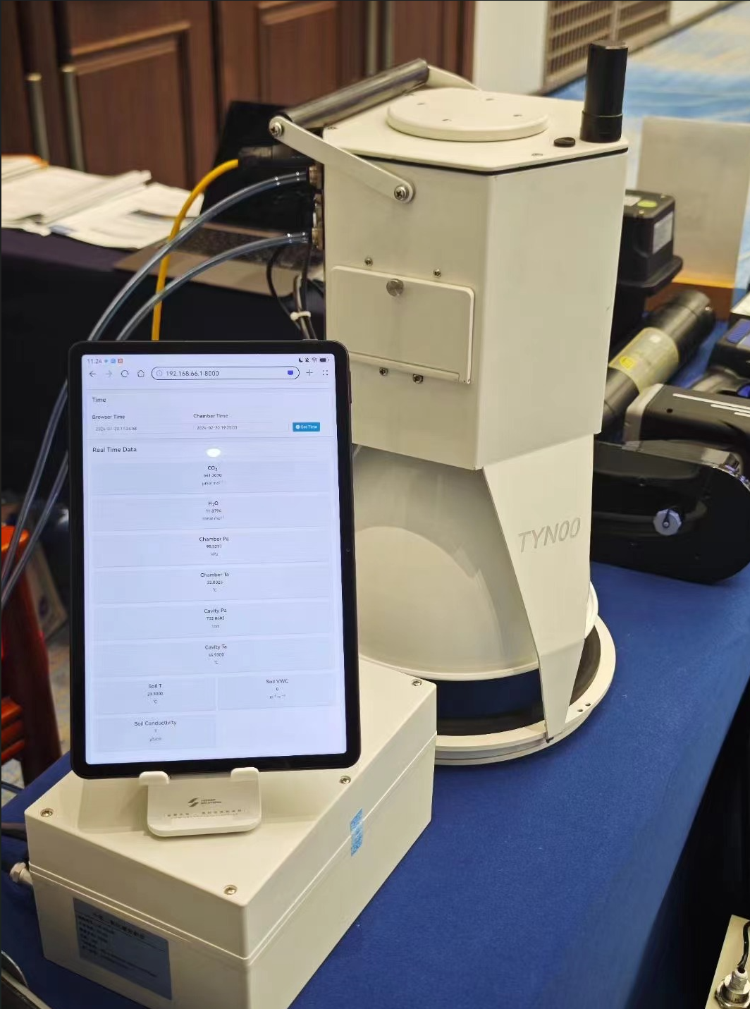 日出水了特别黄的视频