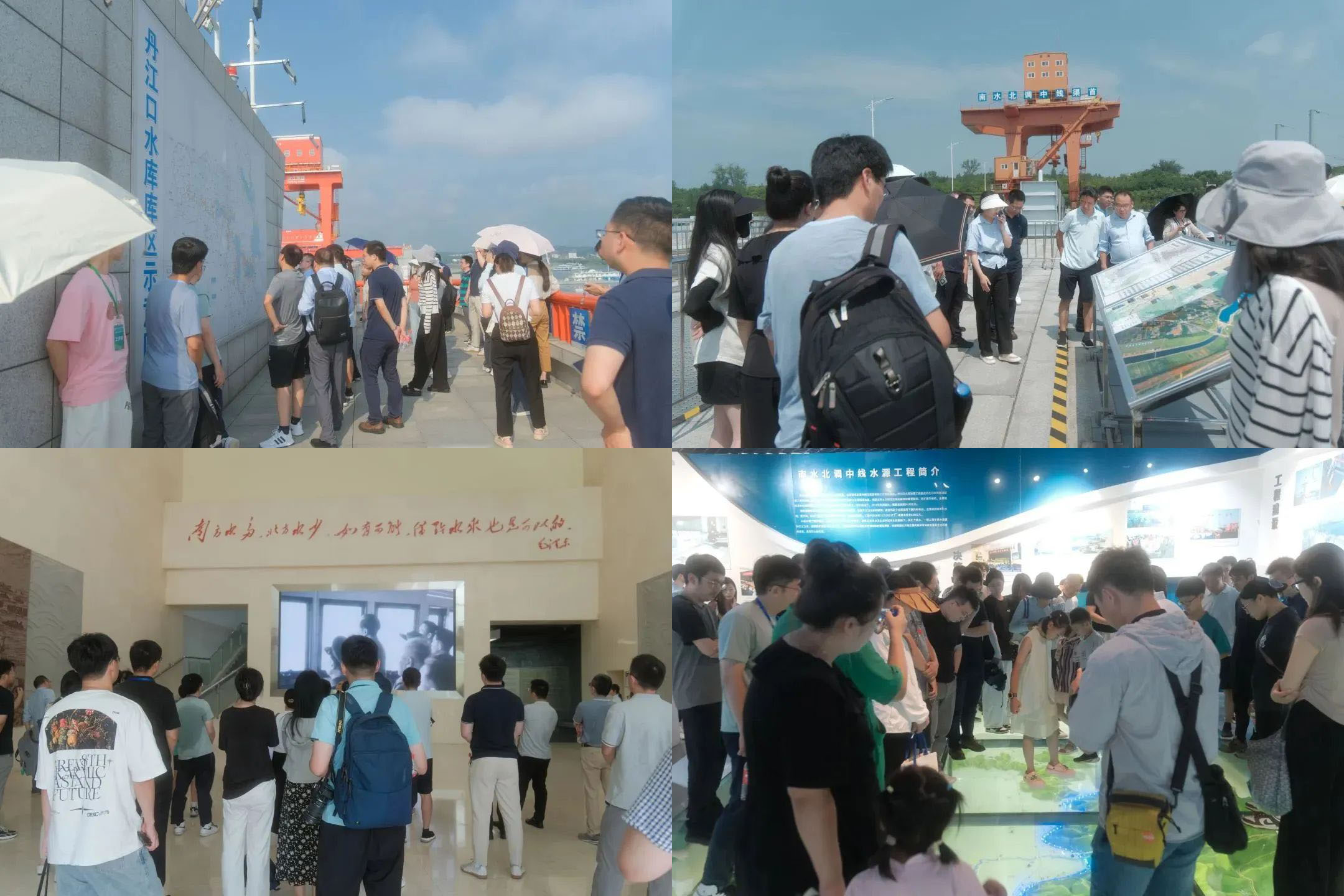 日出水了特别黄的视频