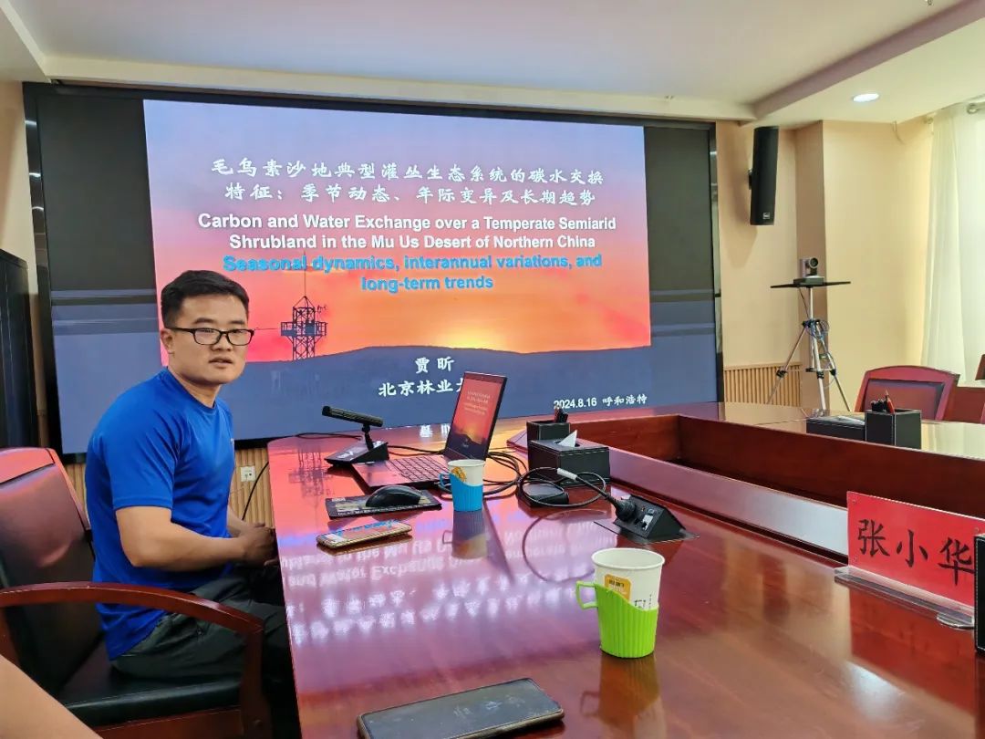 日出水了特别黄的视频