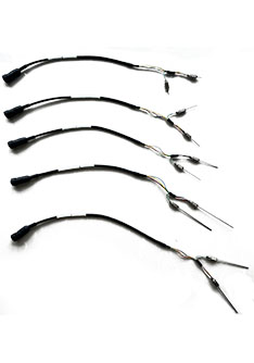 日出水了特别黄的视频