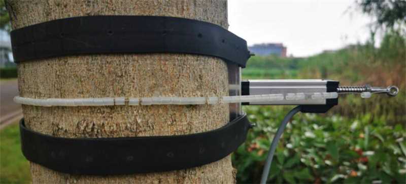 径向树干胸围测量仪 RCD3