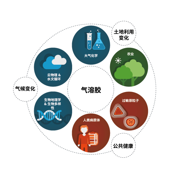 日出水了特别黄的视频
