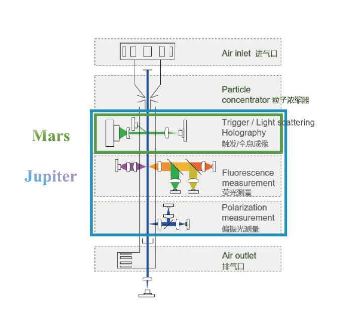 日出水了特别黄的视频