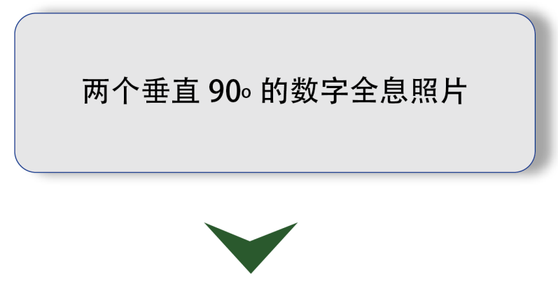 日出水了特别黄的视频