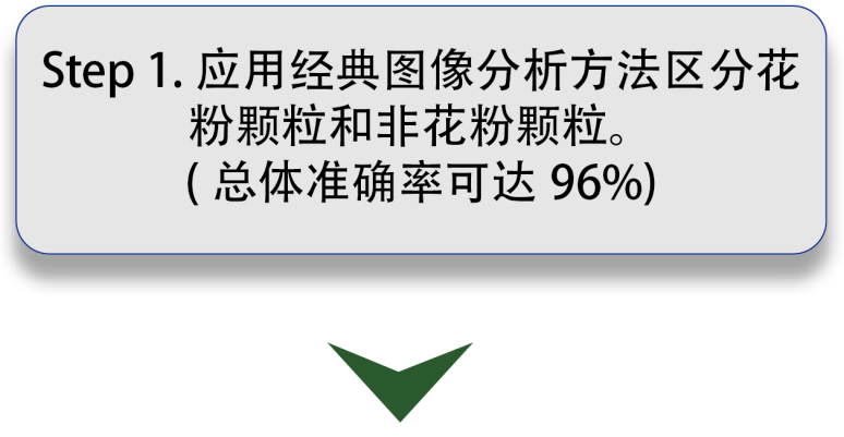 日出水了特别黄的视频