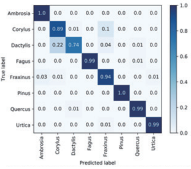 日出水了特别黄的视频