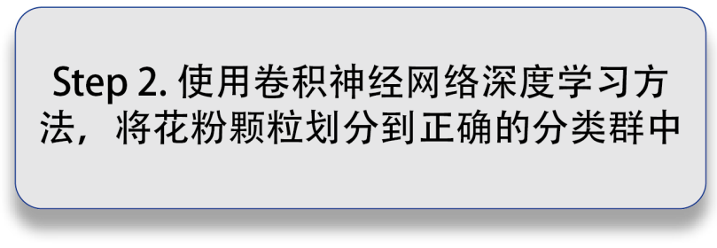 日出水了特别黄的视频