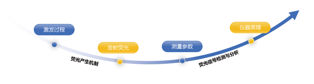 日出水了特别黄的视频