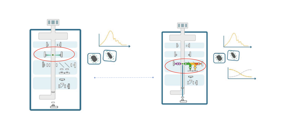 日出水了特别黄的视频