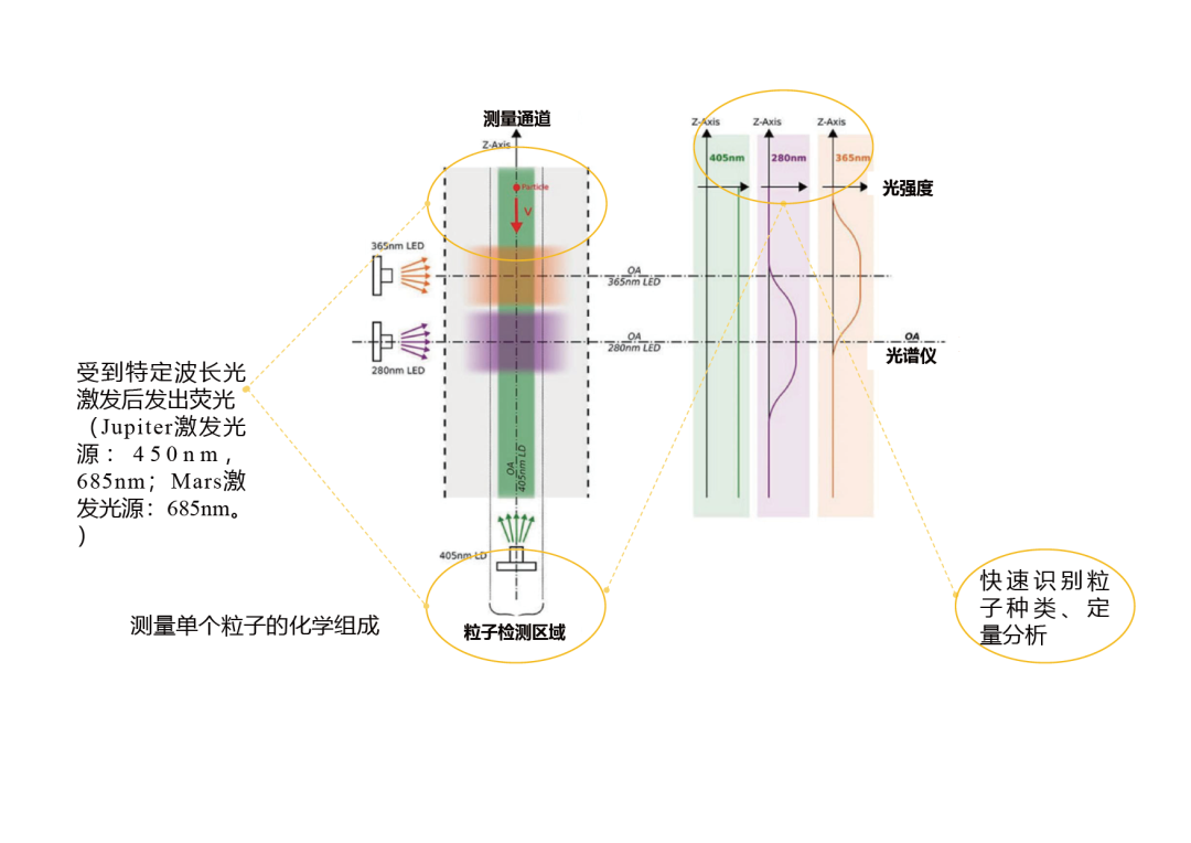 日出水了特别黄的视频