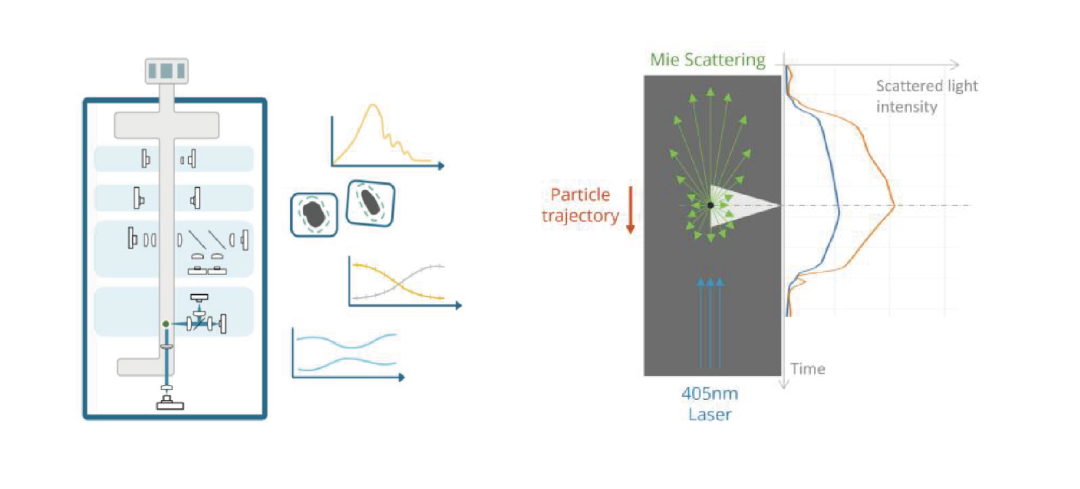 散射光和偏振测量原理