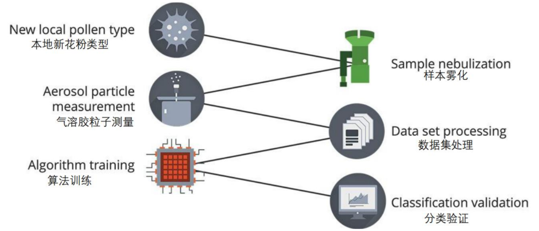日出水了特别黄的视频