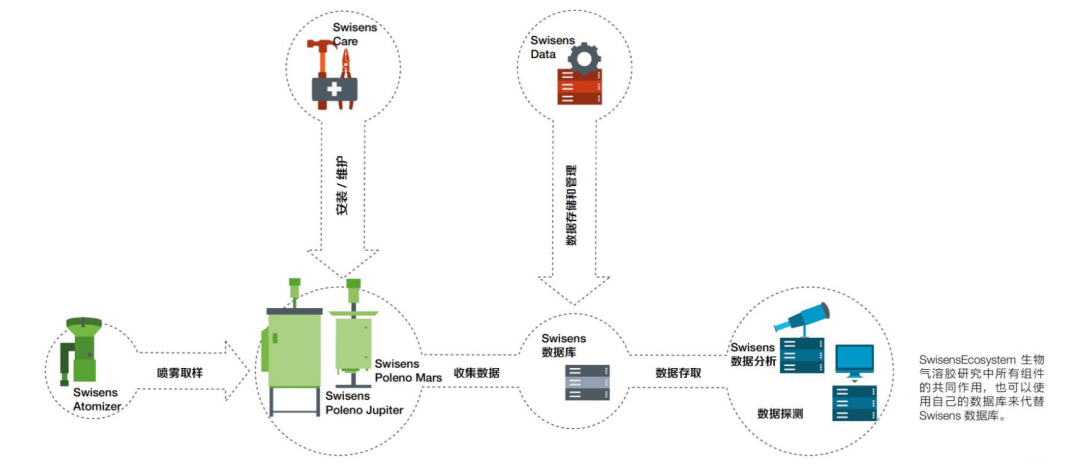 日出水了特别黄的视频