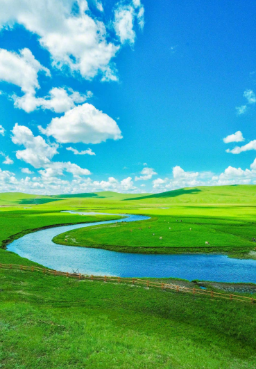 日出水了特别黄的视频