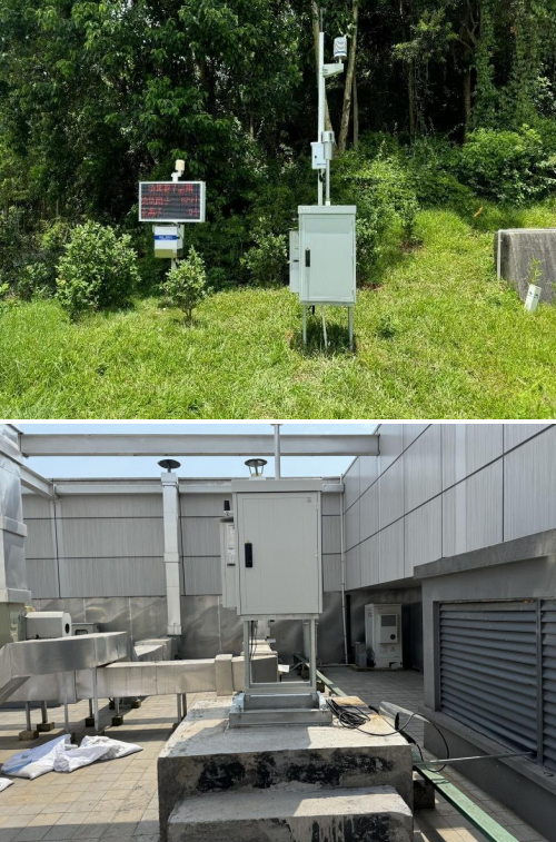 日出水了特别黄的视频