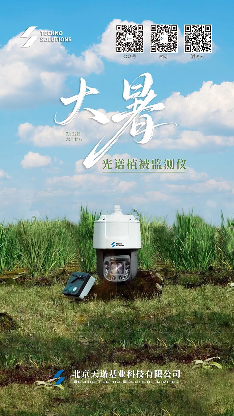 日出水了特别黄的视频