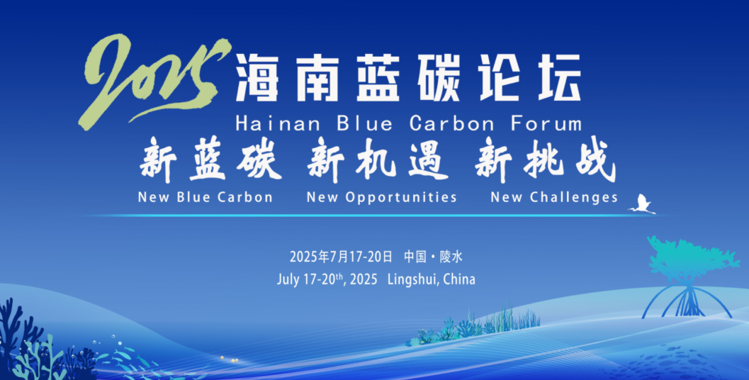 日出水了特别黄的视频