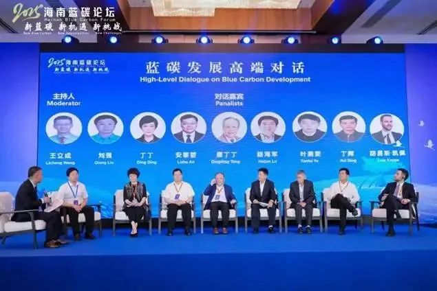 日出水了特别黄的视频