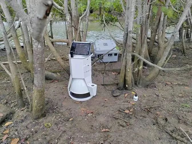 日出水了特别黄的视频