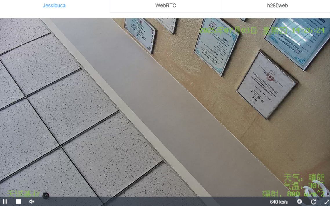 日出水了特别黄的视频