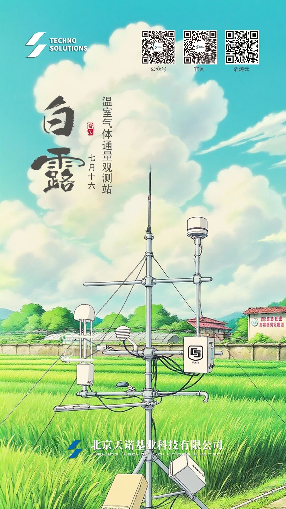 日出水了特别黄的视频