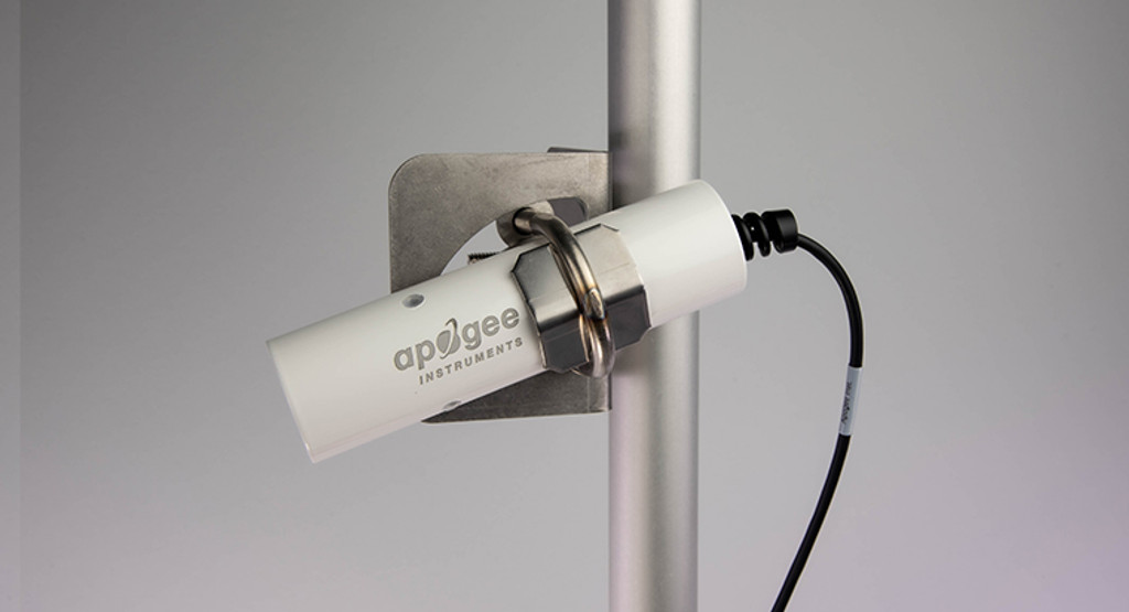 日出水了特别黄的视频