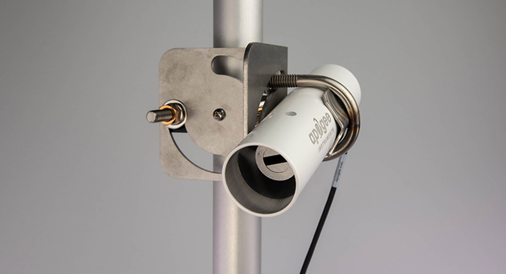 日出水了特别黄的视频