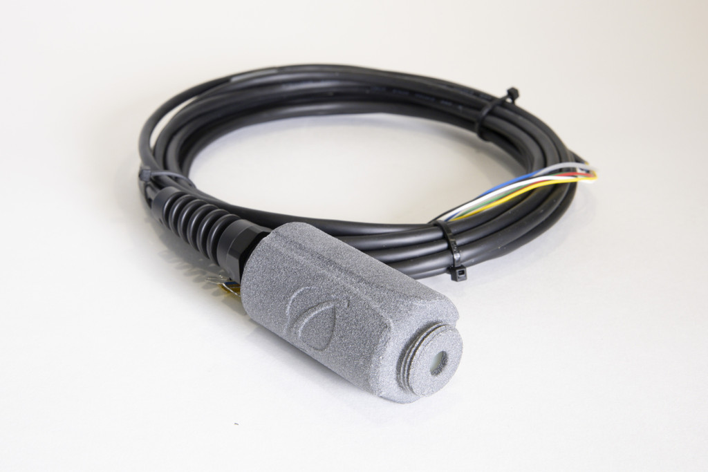 日出水了特别黄的视频