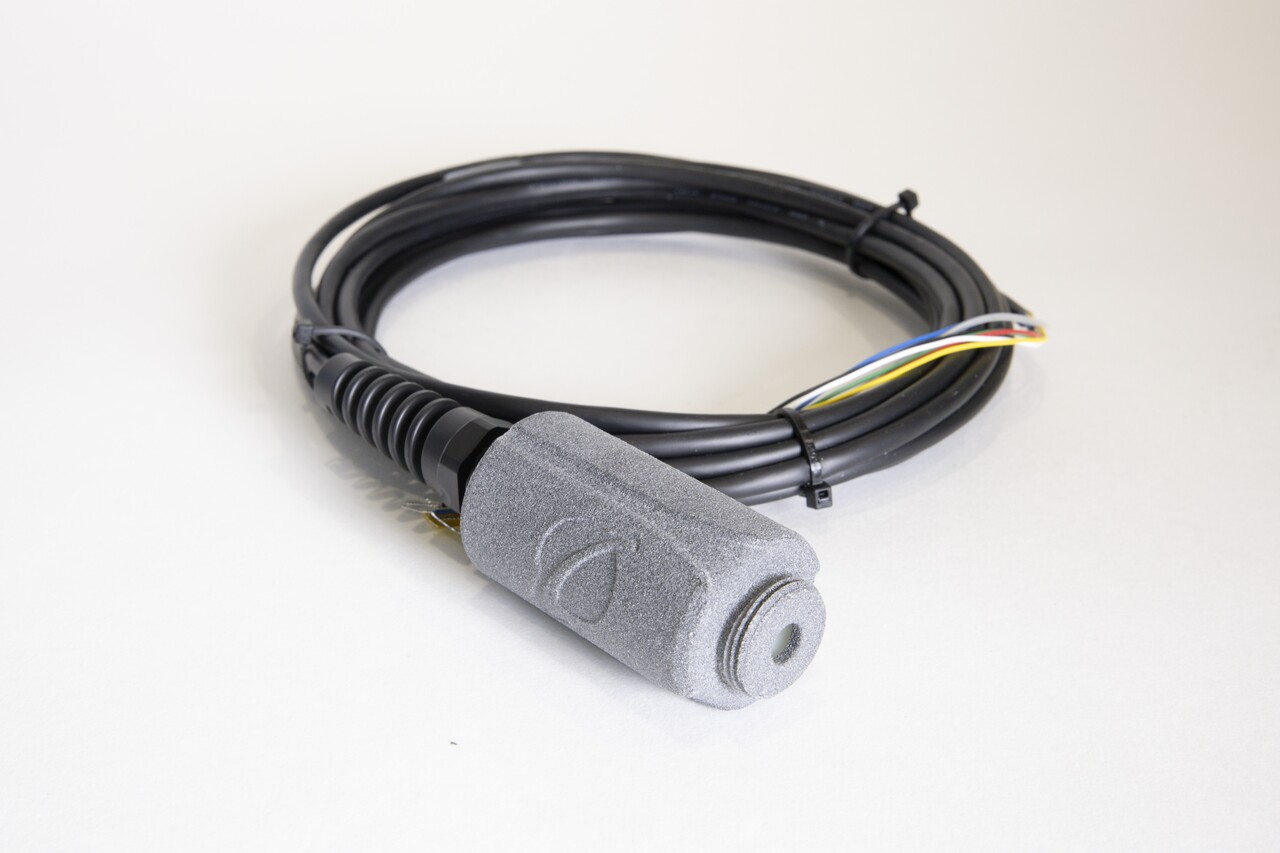 日出水了特别黄的视频