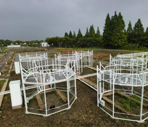 开顶式气室（OTC）