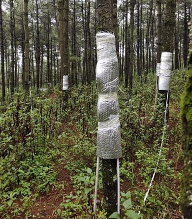 日出水了特别黄的视频