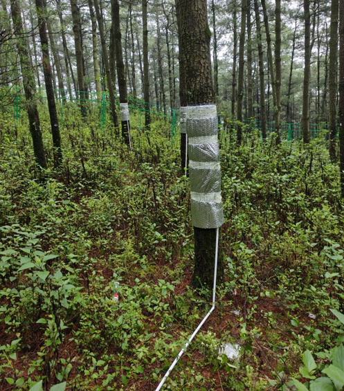 日出水了特别黄的视频