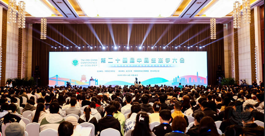 日出水了特别黄的视频