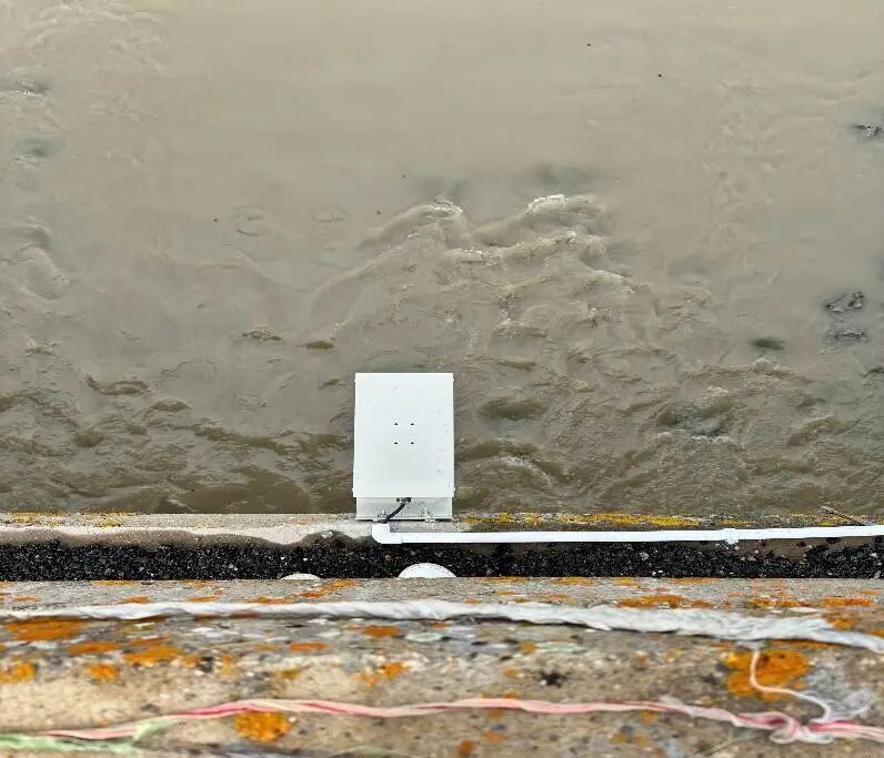 日出水了特别黄的视频