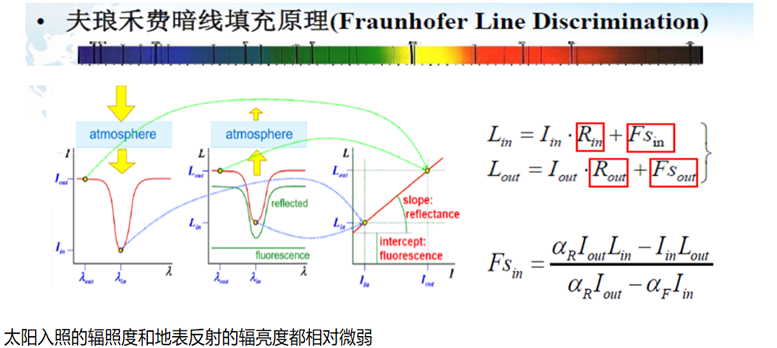 日出水了特别黄的视频