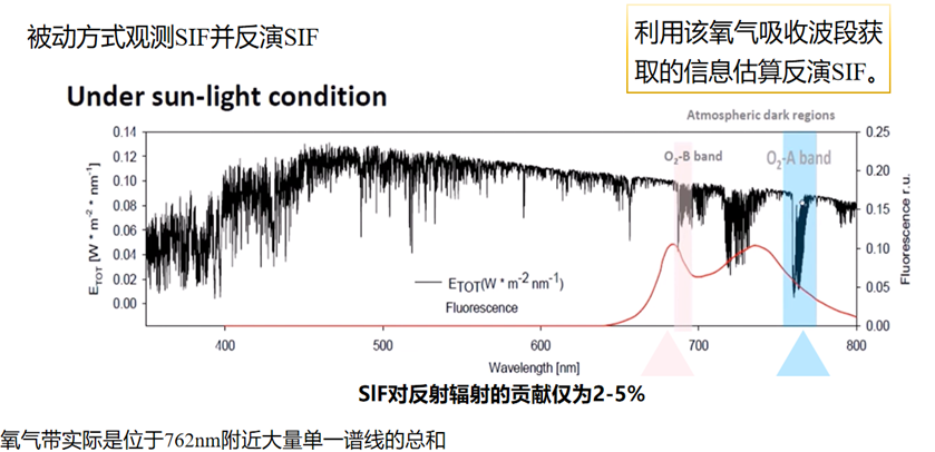 日出水了特别黄的视频