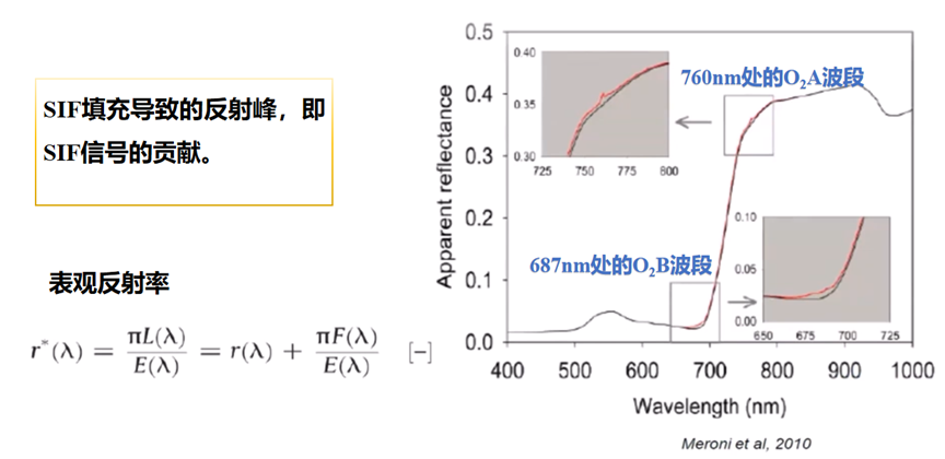 日出水了特别黄的视频