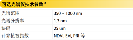 日出水了特别黄的视频