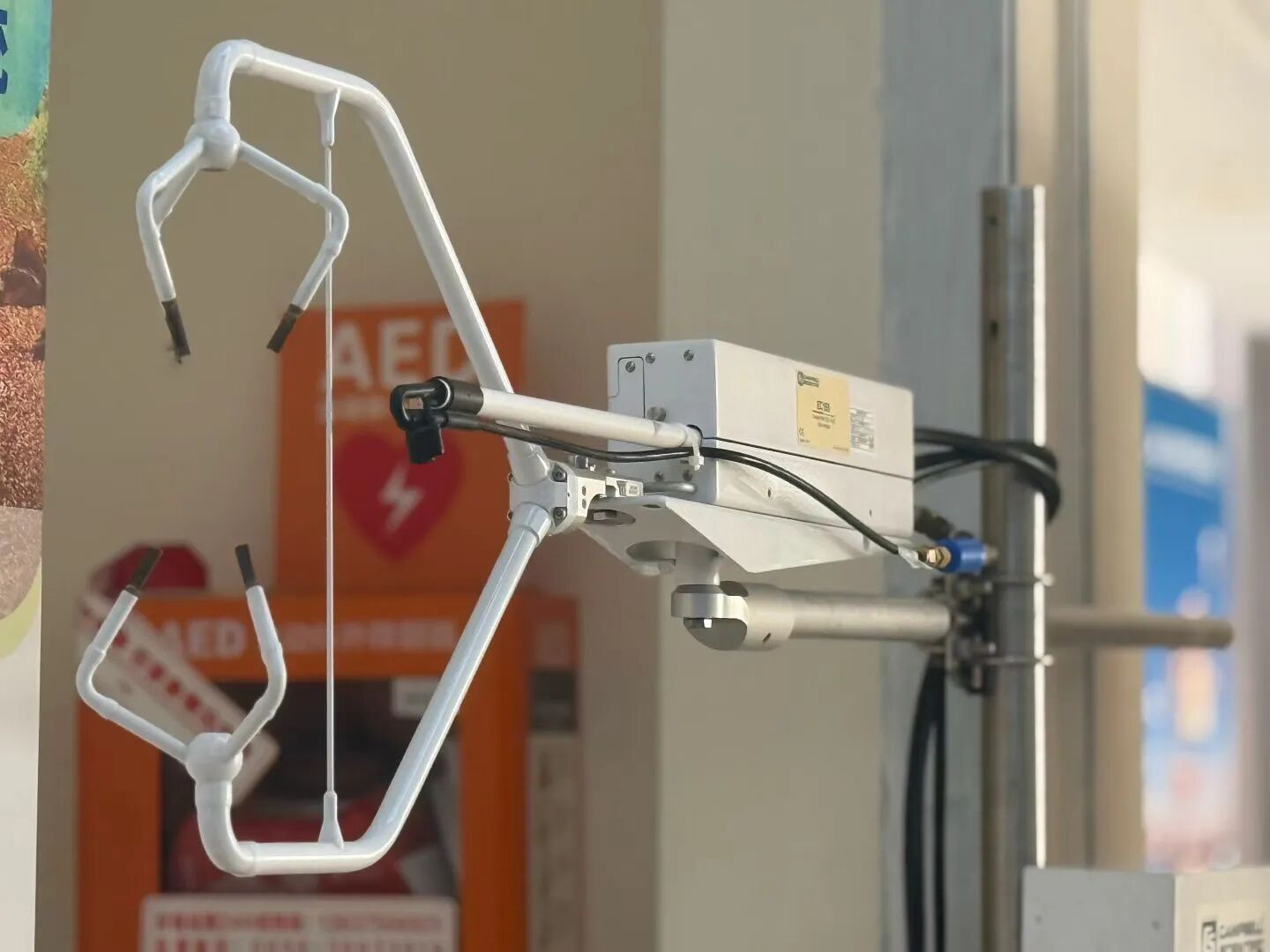 日出水了特别黄的视频