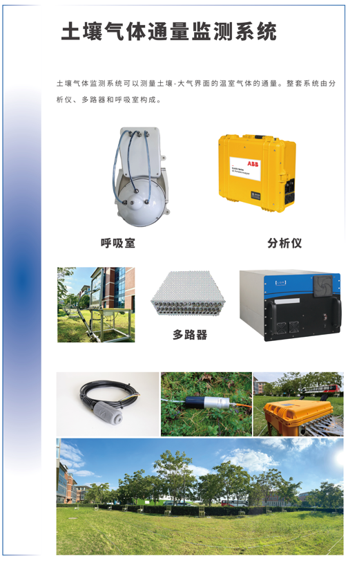 日出水了特别黄的视频