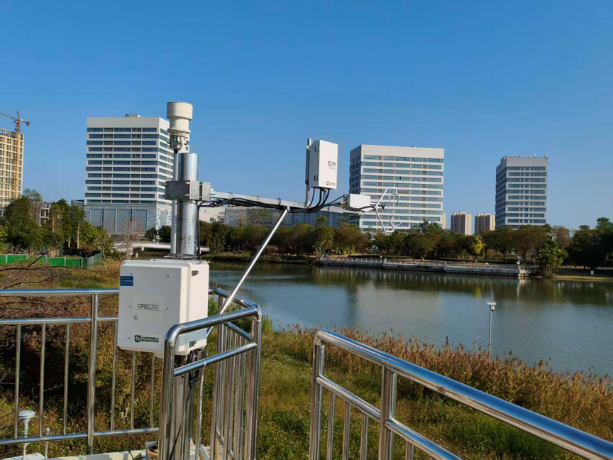 日出水了特别黄的视频