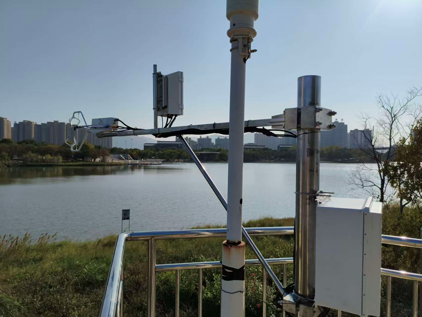 日出水了特别黄的视频