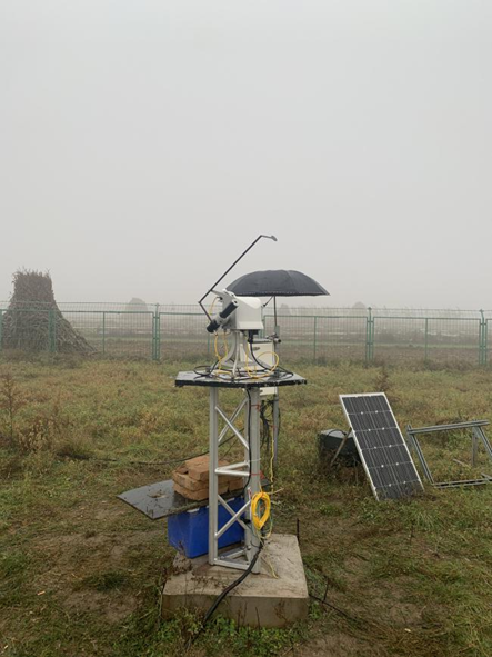 日出水了特别黄的视频