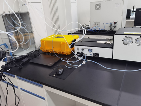 日出水了特别黄的视频