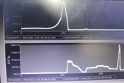 日出水了特别黄的视频